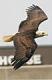 PTC EAGLE's Avatar
