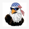 Mr. Eagle's Avatar